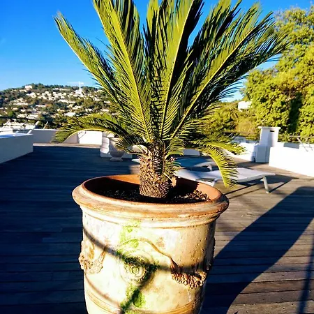Nevada Villa Cannes